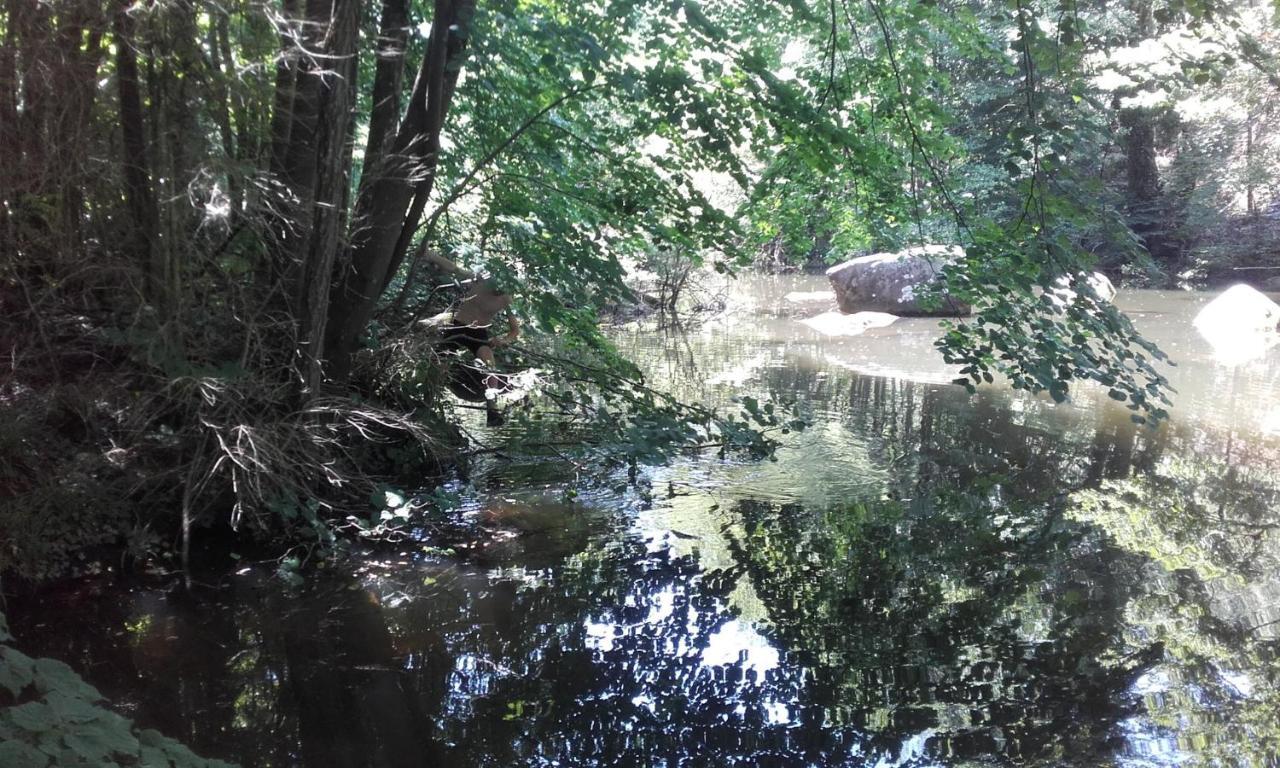 Вілла Moulin De Record Ferrieres  Екстер'єр фото