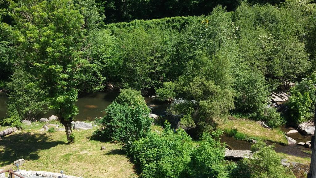 Вілла Moulin De Record Ferrieres  Номер фото