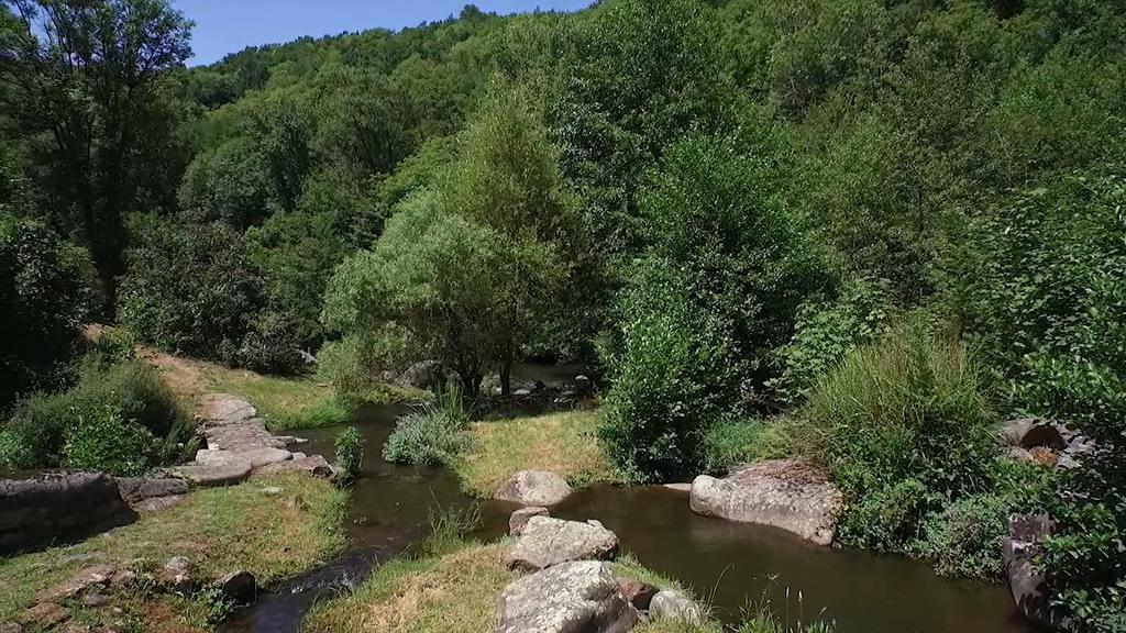 Вілла Moulin De Record Ferrieres  Екстер'єр фото