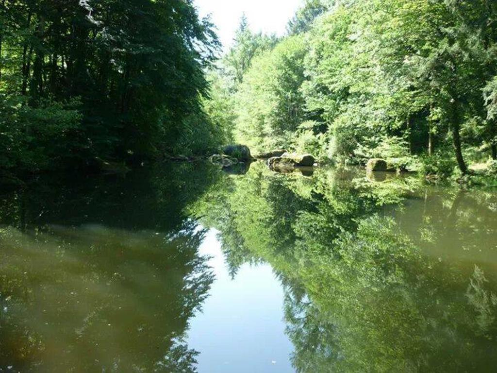 Вілла Moulin De Record Ferrieres  Екстер'єр фото